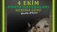 Post Tasarımları