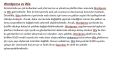 Wordpress vs. Wix