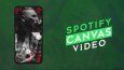 SPOTIFY CANVAS