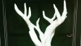 3D BASKI HİZMETİ