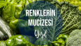 Instagram İçerik Serisi-Renklerin Mucizesi