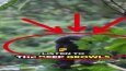 Youtube belgesel kanalı için yatay ve dikey videolar