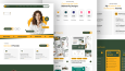 Profesyonel Web Tasarım ve Geliştirme