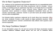 SEO İçerik - Metin Yazarlığı Portfolyosu
