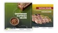 Fıstık Market - Sosyal Medya Görsel Tasarımı