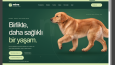 Veteriner Kliniği | Randevulu Web Sitesi