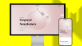 Wordpress Web Tasarımı