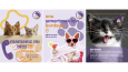 Mascota - Petshop Instagram