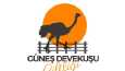 konsept LOGO