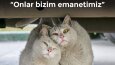 Sosyal Medya Tasarımları