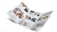 Broşür & Katalog Tasarımı