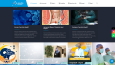 Wordpress Kurumsal Site v3
