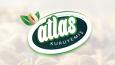 Birlikte Başardığımız Firmalar