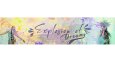 Banner&Header Tasarımı