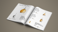 AMBER PRODUCTS CATALOG