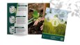 Broşür ve Katalog 