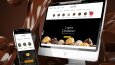 Web Tasarım Çalışmaları