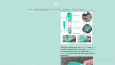 Premium Shopify Temaları İle Dropshipping Mağazası Tasarımı