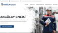Web Tasarım Örnekleri