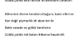 Şiir ve Senaryo yazan bir şahsiyet.