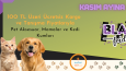E-ticaret sitesi banner tasarımı