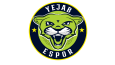logo tasarım portfolyosu