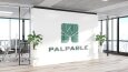 PALPABLE Logo Tasarımı