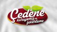 Logo Tasarımı