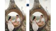 Photoshop ile illüstrasyon yapma