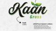 KAAN GROSS