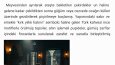 İçerik Yazarlığı & Çeviri