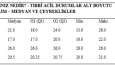 Akademik İstatistiksel Analiz ve Raporlama