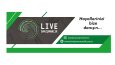 Banner Tasarımarı