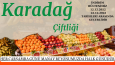 Insert&broşür tasarımı