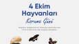 Özel Günler İçin Sosyal Medya Çalışmaları