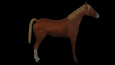 3d Modelleme