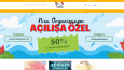 Web Site Tasarım