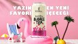 Sosyal Medya Çalışmaları