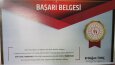 belge çevirisi