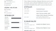 Göz Alıcı Cv Tasarımları 