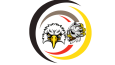 Eagle Sports Team