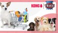 DBM Turkey - Web Banner Tasarımları