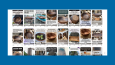 Pinterest Çalışması (30 Günlük)