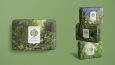 Bamboo Soap Kurumsal Kimlik