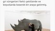 Metin Yazarlığı