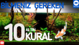 Sosyal Medya Gönderi Tasarımı