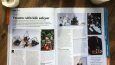 Gastronomi Dergisi - Nişantaşı Gasto Röportajı