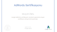 Google Adwords Sertifikası