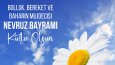 Tasarımın Gücünü Sosyal Medyada Keşfet