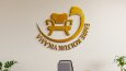 logo tasarımı
